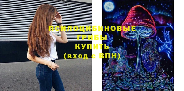 МДМА Ельня