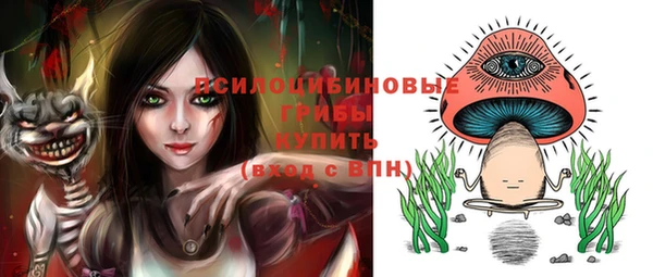 МДМА Ельня
