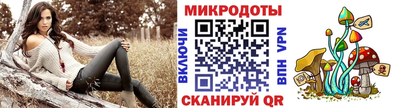 Псилоцибиновые грибы MAGIC MUSHROOMS  где купить   Красный Сулин 